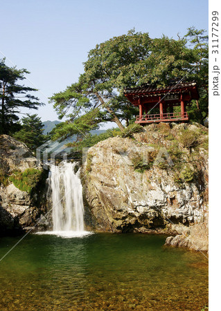 慶北 俗離山 張角の滝 31177299