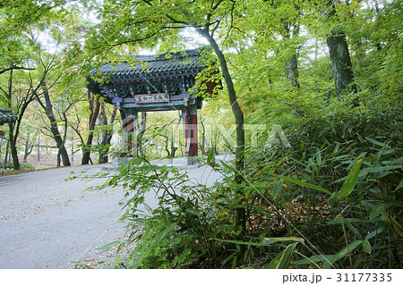 法住寺 報恩郡 日ご注文 31177335