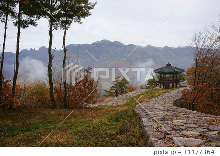 秋 紅葉 山 31177364