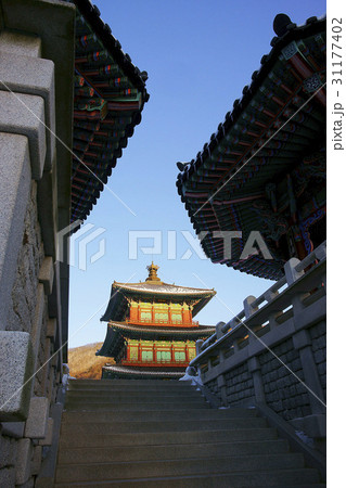 建てる 築く 硬化 31177402