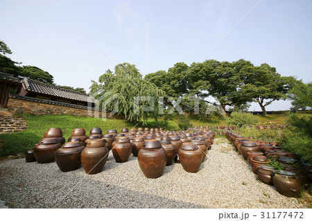 論山市 ユンジュン宅 かめ 31177472