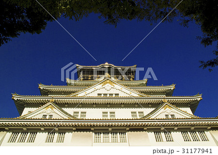 ローアングル 下アングル 低角度 31177941