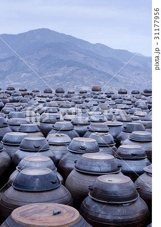 光陽市 かめ つぼ 31177956