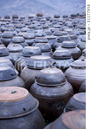一列 かめ つぼ 31177958