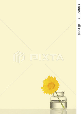 グムギェグク 花 ヌキ 31178063