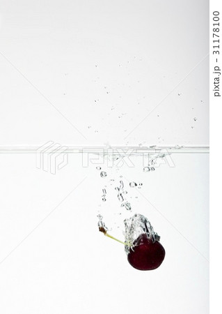 フルーツ 果物 水揚げ 31178100