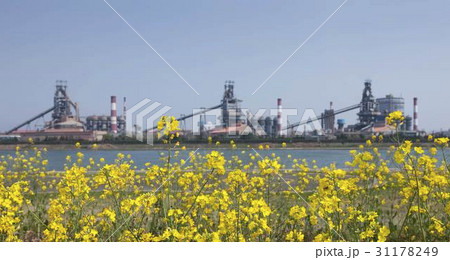 工場 花 ポスコ 31178249