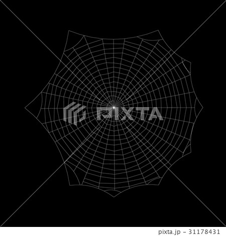 Spiderweb. Isolated on black background. Spiderweb. Isolated on black background. 31178431