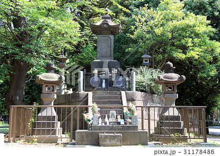 彰義隊墓(東京上野) 彰義隊墓(東京上野) 31178486