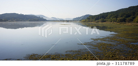 慶南 湿地 牛浦 31178789