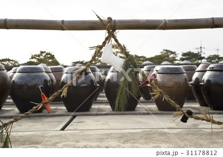 注連縄 ソイル農園 安城市 31178812