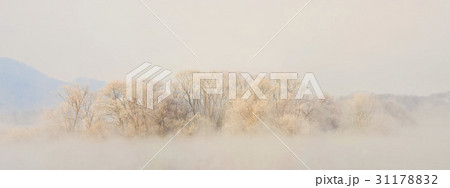 江原道 昭陽江 霧 31178832