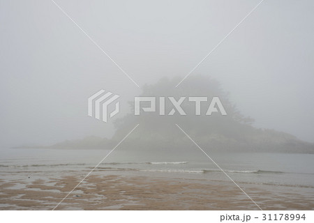 海 島 ハクアムポ 31178994