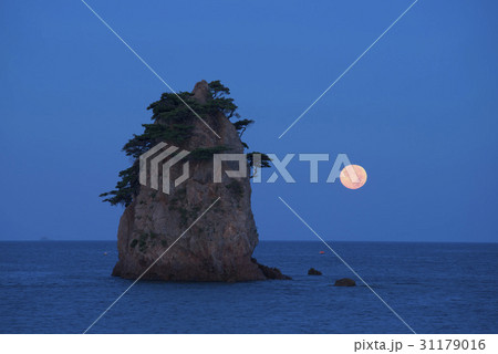 コッチ 月 安眠島 31179016