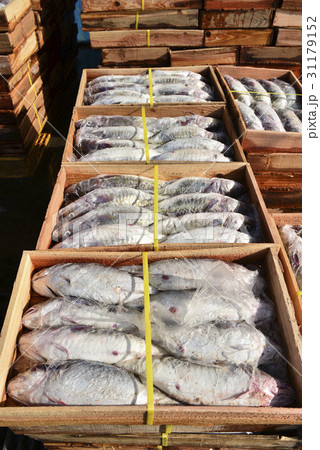 ボックス 積み重ねスタッキング 積み上げ 31179152