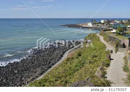 水平線 オレの道 済州島 31179307
