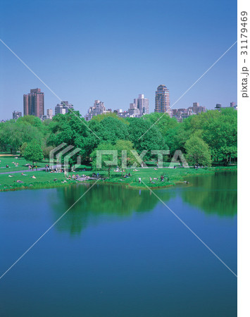 公園 ニューヨーク 米国 31179469