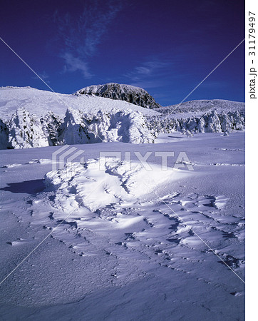 冬 山 西帰浦市 31179497