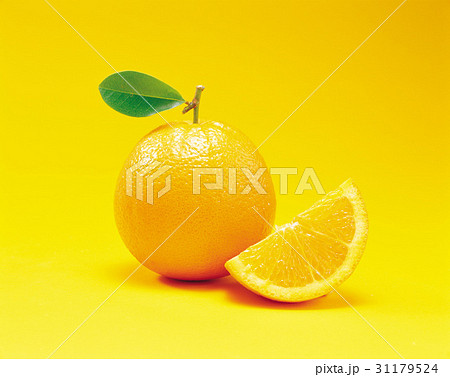 フルーツ 果物 黄色 31179524