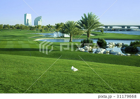 ゴルフ ゴルフ場 ドバイ 31179668