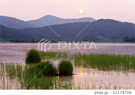 慶南 湿地 牛浦 31179706