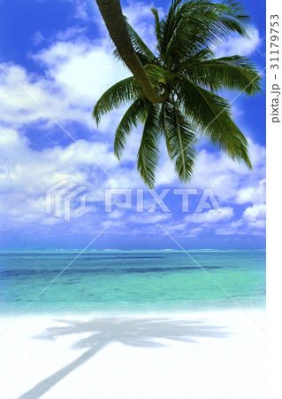 ビンタン 旅行 インドネシア 31179753