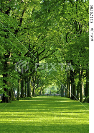 ニューヨーク マンハッタン 米国 31179766