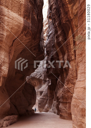 石 岩 グー 31180029