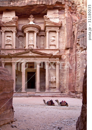 ラクダ アルカジュネ ヨルダン 31180035