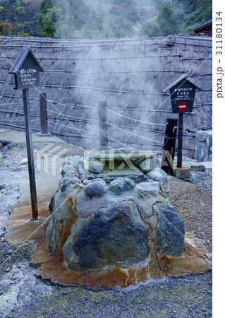 Japan ジャパン 日本 31180134