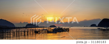 夕焼け シルエット パノラマ 31180183