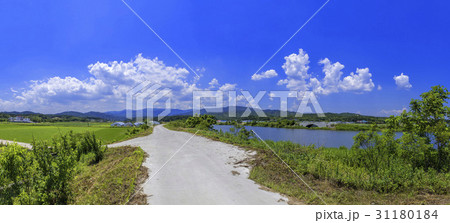 江陵市 江原道 自然 31180184