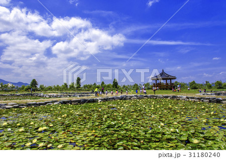 公園 サムラク川沿いの公園 修練 31180240