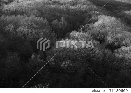 加平郡 京畿道 キョンギド 31180669