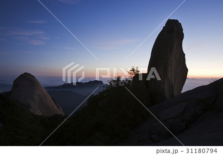 北朝鮮産 ソウル シルエット 31180794