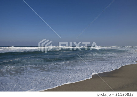 江原道 海 水平線 31180832