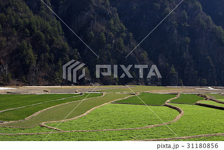 江原道 ノン 山 31180856