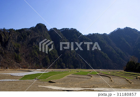 ノン 田畑 農業 31180857