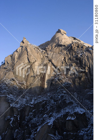 国立公園 白雲台 北朝鮮産 31180860