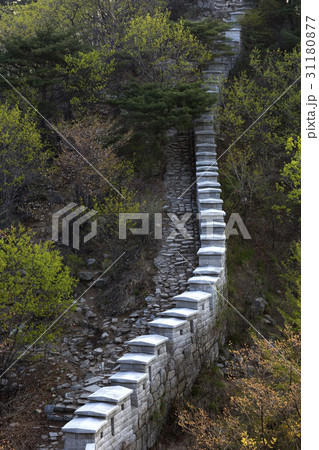 国立公園 北朝鮮産 城壁 31180877