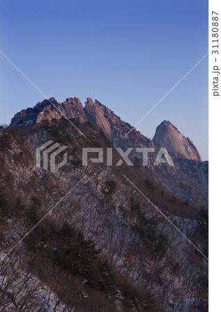 岩 石 グー 31180887