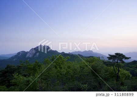 国立公園 北朝鮮産 山 31180899