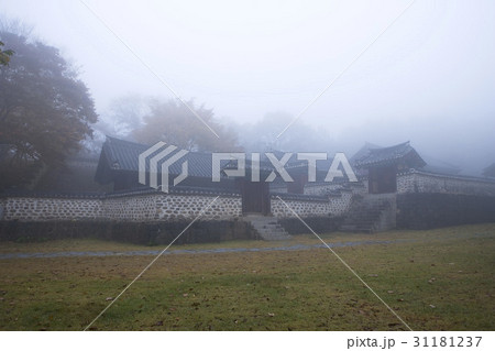 秋 京畿道 キョンギド 31181237