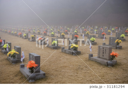 墓 ゼオライト ソウル 31181294