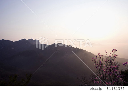 道峰山 山 自然 31181375