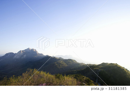 木 北朝鮮産 山 31181385