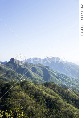 木 北朝鮮産 山 31181387