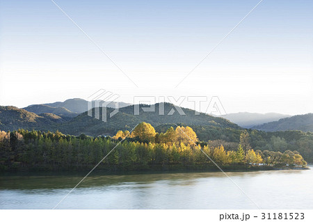 秋 川 河 31181523