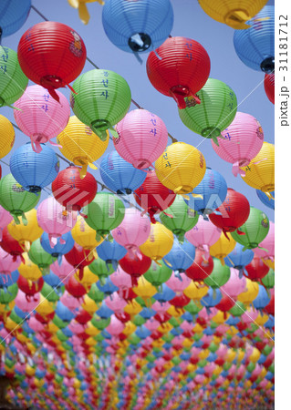 奉先寺 仏教 提灯 31181712