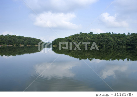 京畿道 キョンギド 反射 31181787